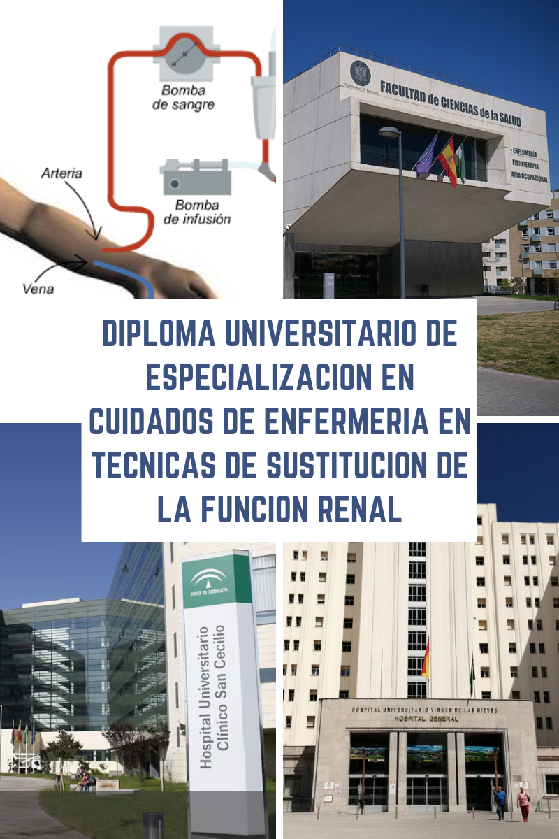imagen_cursos